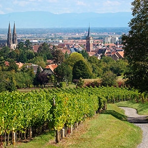 Vue sur Obernai en Alsace, haut lieu du tourisme alsacien