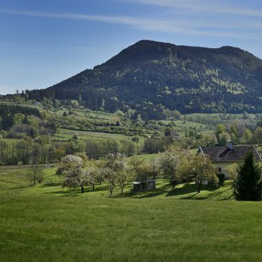 Paysages Vallée de la Bruche - Climont