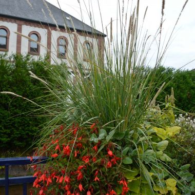 Office de Tourisme de Niederbronn-les-Bains