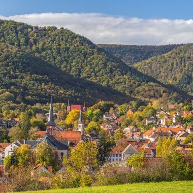 OTi de l'Alsace Verte