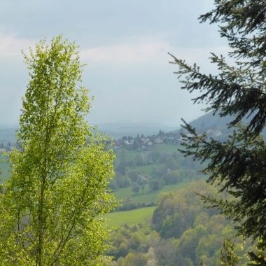 Office de Tourisme de Niederbronn-les-Bains