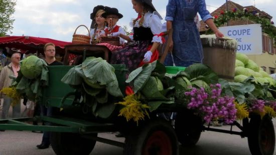 Sauerkraut and folklore festival