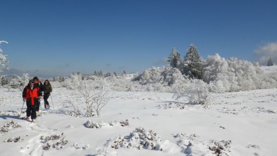 Snowshoe outing