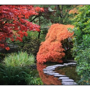 O Rendez-vous Nature - Vortrag Die japanischen Gärten