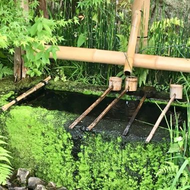 O Rendez-vous Nature - Designing a Japanese garden workshop