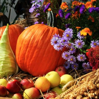 Exposition de fruits et légumes