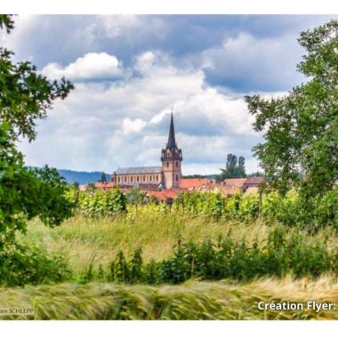 Ausstellung - Batsch Photos