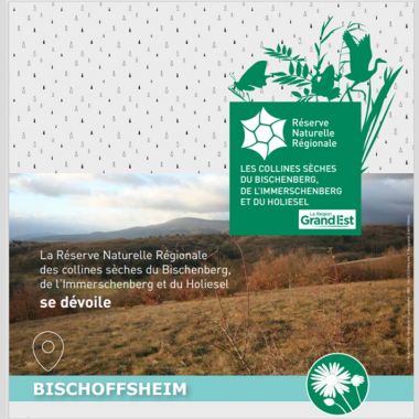 Conservatoire des Espaces Naturels  Alsace