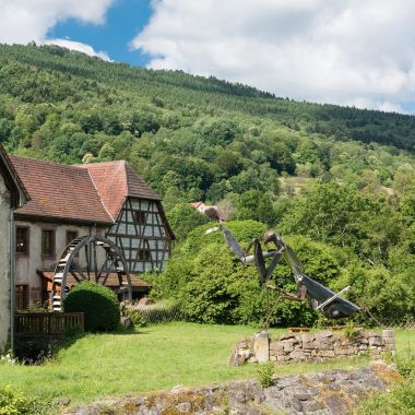 Vivarium du moulin à Lautenbach Zell © Grégory Tachet