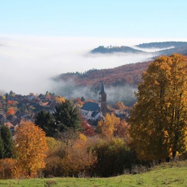 Paysage automnal - ©R.Della Vecchia