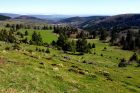 Vue panoramique depuis les hauteurs du village - ©D.Wolff