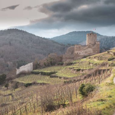 OT Vallée de Kaysersberg - Julien Kauffmann