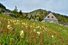 OT Station du Lac Blanc