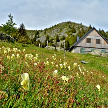 OT Station du Lac Blanc