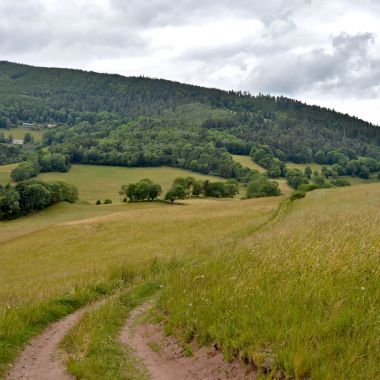 OT Vallée de Kaysersberg