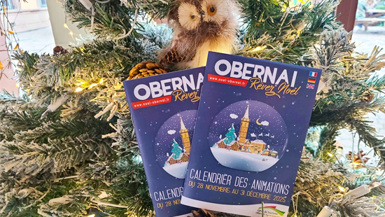 Der Weihnachten veranstaltungskalender ist da!